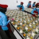 Sudaryono Berusaha Perbaiki Program Makan Bergizi Gratis Dengan Koordinasi Bgn Dan Kejagung