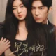 The Early Spring: Jawaban The Early Spring Berapa Episode, Sinopsis, Pemain, Dan Jadwal Tayang Netflix