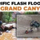 Tragedi Grand Canyon Flood: 1 Tewas, 15 Hilang, Evakuasi Besar-Besaran