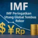 Wakil Kepala Imf Peringatkan Dampak Dolarisasi Mata Uang Digital Pada Ekonomi Global