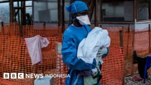 Who Desak Penguatan Respons Wabah Ebola Di Kongo, Upaya Penanganan Diperkuat