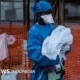 Who Desak Penguatan Respons Wabah Ebola Di Kongo, Upaya Penanganan Diperkuat