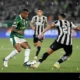 Drama Di Nilton Santos: Botafogo Vs Palmeiras, Kontroversi Wasit, Ancelotti Mengamati, Dan Badai Di Tribun