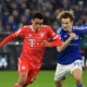Drama Tak Terduga Dalam Schalke 04 Vs Bayern: Konflik Fans, Taktik Kompany, Dan Kembalinya Musiala