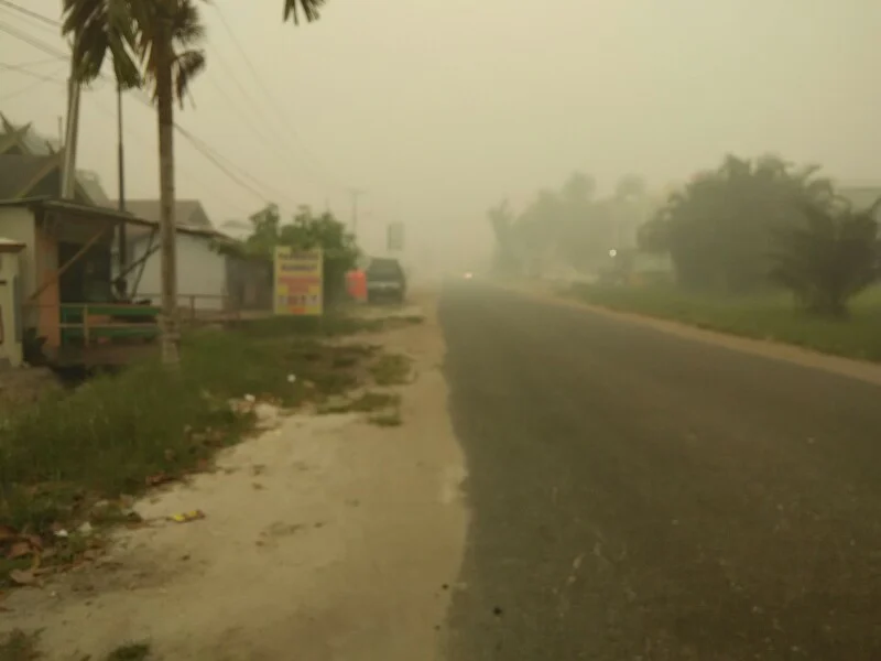 Kabut asap: pemerintah batasi kegiatan terbuka di kalteng Kabut Asap: Pemerintah Batasi Kegiatan Terbuka Di Kalteng