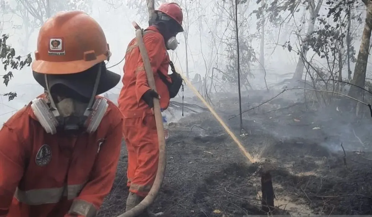 Karhutla kantan atas: bupati dan kajari pulpis pantau dan lakukan bakti sosial Karhutla Kantan Atas: Bupati Dan Kajari Pulpis Pantau Dan Lakukan Bakti Sosial