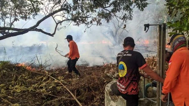 Karhutla palangka raya tembus 443 kejadian, lahan terbakar hampir 500 hektare Karhutla Palangka Raya Tembus 443 Kejadian, Lahan Terbakar Hampir 500 Hektare