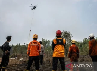 Karhutla Pangkalan Bun-Kolam Meluas, Ancaman Api Pada Habitat Satwa Di Hkm Masoraian