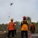 Karhutla pangkalan bun-kolam meluas, ancaman api pada habitat satwa di hkm masoraian Karhutla Pangkalan Bun-Kolam Meluas, Ancaman Api Pada Habitat Satwa Di Hkm Masoraian