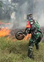 Kepolisian Daerah Jambi Gandeng Brimob Dan Satgas Karhutla, Tangkap Pelaku Pembakaran &Amp; Tersangka Pengeroyokan Tni