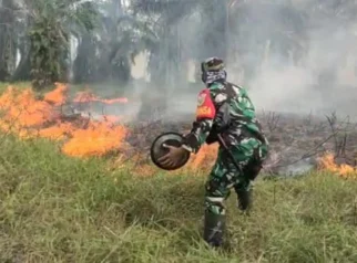 Kepolisian daerah jambi gandeng brimob dan satgas karhutla, tangkap pelaku pembakaran & tersangka pengeroyokan tni Kepolisian Daerah Jambi Gandeng Brimob Dan Satgas Karhutla, Tangkap Pelaku Pembakaran &Amp; Tersangka Pengeroyokan Tni