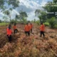 Maryani Desak Perusahaan Bantu Tangani Karhutla Di Kalimantan Tengah