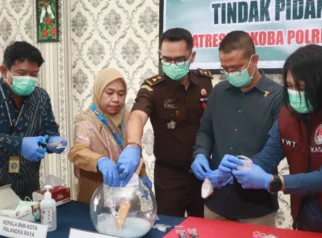 Polresta palangka raya lakukan pemusnahan narkoba: 874 88 gram narkoba dari 13 tersangka dimusnahkan Polresta Palangka Raya Lakukan Pemusnahan Narkoba: 874 88 Gram Narkoba Dari 13 Tersangka Dimusnahkan
