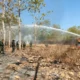 Pt Tan Gandeng Desa Sosialisasikan Pencegahan Dan Penanganan Karhutla, Upaya Bersama Cegah Kebakaran Hutan Di Lamandau